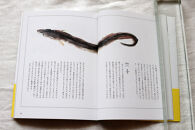 続「いのちをつなぐ海のものがたり」と、美しいポストカード3枚セット♪