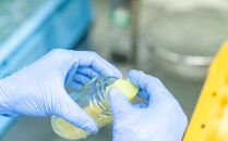 岡山県産&nbsp;桃・ぶどう&nbsp;ジュレ&nbsp;110g×4本セット