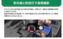 監視・防犯カメラ&nbsp;屋外&nbsp;家庭用&nbsp;夜間フルカラー&nbsp;ゴマちゃん防犯灯&nbsp;&nbsp;WTW-E1856GBX