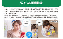 監視・防犯カメラ&nbsp;屋外&nbsp;家庭用&nbsp;夜間フルカラー&nbsp;ゴマちゃん防犯灯&nbsp;&nbsp;WTW-E1856GBX