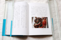 教科書掲載「いのちをつなぐ海のものがたり」と、美しいポストカード3枚セット♪