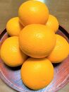 清見オレンジ 約2kg 箱込み （6～8個）L～3Lサイズ【地元印南町産】