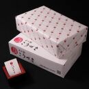 もつ鍋 赤辛味（味噌味）(２～３人前)