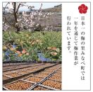 梅の里からの正月飾り「門梅」［R］ [AJ1]