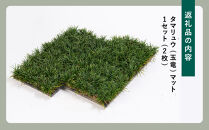 タマリュウ(玉竜)マット　2枚セット(60cm×30cm)