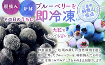 鈴鹿山麓ブルーベリー(冷凍) 200g×4パック