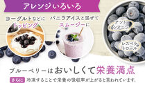 鈴鹿山麓ブルーベリー(冷凍) 200g×4パック