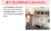見守りペットカメラ&nbsp;防犯カメラ&nbsp;ワイヤレス&nbsp;みてるちゃん&nbsp;WTW-NEKO245S