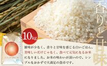 【先行予約】白米&nbsp;10kg&nbsp;JAS有機認定&nbsp;日光ダイヤ舞&nbsp;令和8年度米&nbsp;こしひかり【2026年10月中旬以降発送予定】&nbsp;｜&nbsp;お米&nbsp;有機栽培&nbsp;無農薬&nbsp;コシヒカリ&nbsp;栃木県&nbsp;日光市