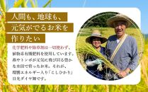玄米 3kg JAS有機認定 日光ダイヤ舞 令和7年度米 こしひかり 新米 先行予約 【2025年9月下旬以降発送予定】 ｜ お米 有機栽培 無農薬 コシヒカリ 栃木県 日光市