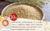 玄米 10kg JAS有機認定 日光ダイヤ舞 令和7年度米 こしひかり 新米 先行予約 【2025年9月下旬以降発送予定】 ｜ お米 有機栽培 無農薬 コシヒカリ 栃木県 日光市