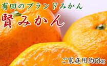 有田のブランド「賢みかん」約5kg&nbsp;サイズ混合&nbsp;ご家庭用［2026年11月中旬頃より順次発送］