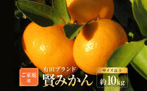 有田のブランド「賢みかん」約10kg&nbsp;サイズ混合&nbsp;ご家庭用［2026年11月中旬頃より順次発送］