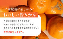 有田のブランド「賢みかん」約10kg&nbsp;サイズ混合&nbsp;ご家庭用［2026年11月中旬頃より順次発送］