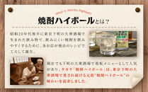 【宝酒造】タカラ「焼酎ハイボール」＜シークヮーサー＞(500ml×24本) ［ 京都 タカラ 焼酎 ハイボール シークワーサー シークヮーサー キレ味爽快 人気 おすすめ 酎ハイ サワー お酒 晩酌 お取り寄せ 通販 送料無料 ふるさと納税 ］