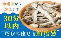 伊吹いりこの美味しい小魚シリーズ　ギフトセット　～厳選６種～