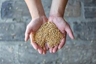 【福岡市内製造】大濠ブルワリー&nbsp;OHORI&nbsp;APA&nbsp;缶ビール&nbsp;350mlｘ12缶セット