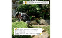 シルバー人材センターのお助けサービス(3)【シルバー人材センター　お助けサービス　除草（手引き、刈草の処分は除く）　ふすま張替　障子張替　吉兆・しんせん・いづみ・のぞみ・のれん天袋2枚1組 大阪府 門真市 】