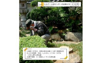 シルバー人材センターのお助けサービス(4)【シルバー人材センター　お助けサービス　除草（手引き、刈草の処分は除く）　ふすま張替え　吉兆・しんせん・いづみ・のぞみ・のれん押入2枚1組　網戸張替　 大阪府 門真市 】