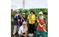 門真れんこん『れんちゃん』2.0kg【門真れんこん　れんこん　もっちりとした食感　河内レンコン　幻のレンコン　甘みが強い&nbsp;鉄分を多く含む粘土質の土壌&nbsp;大阪府&nbsp;門真市&nbsp;】