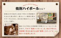 【宝酒造】タカラ「焼酎ハイボール」＜ゆず＞(500ml×24本) ［ 京都 タカラ 焼酎 ハイボール 柚子 ゆず キレ味爽快 人気 おすすめ 酎ハイ サワー ゆずサワー お酒 晩酌 お取り寄せ 通販 送料無料 ふるさと納税 ］