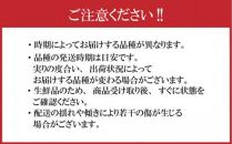 【先行予約】さぬき市の白桃 約2kg 8月発送 品種おまかせ【国産 もも 桃 白桃 白鳳 あかつき 清水白桃 なつおとめ 川中島白桃 まどか 黄金桃 西大母 飯田桃園 さぬき市】