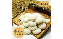 小もち（丸餅）2kg【小もち（丸餅）　和菓子職人 コシの強さ 近江米100% もち米 ぜんざい そのまま焼く 荷崩れしにくい 大阪府 門真市 】