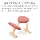 バランスイージー専用はっ水カバー（ブラック）ドットワッフル【 バランスイージー カバー 大阪府 門真市 】