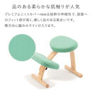 バランスイージー専用プレミアムニットカバーnew（グリーン）はっ水加工【&nbsp;バランスイージー&nbsp;カバー&nbsp;大阪府&nbsp;門真市&nbsp;】