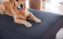 リバティ2&nbsp;ソファ&nbsp;160cm&nbsp;3人掛け&nbsp;ダークグレー【モーブル】【大川家具】