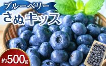 ブルーベリー さぬキッス 約500g