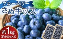 ブルーベリー さぬキッス 約1kg (約500g×2）