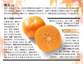 ＜2026年発送分・先行予約＞秋王　約1750g