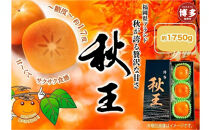 ＜2026年発送分・先行予約＞秋王　約1750g