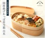 紀州漆器 曲げわっぱ 弁当箱 矢羽 青（九州国産日田杉）［YS94］
