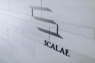 【高島屋選定品】【THE THOUSAND KYOTO】ザ・サウザンド京都 ふるさと納税ランチペアチケット （イタリア料理 SCALAE）［ 京都 京都駅 至近 アクセス 抜群 次の千年の心地よさ 食事 チケット 人気 おすすめ ］