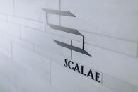 【高島屋選定品】【THE THOUSAND KYOTO】ザ・サウザンド京都 ふるさと納税ディナーペアチケット （イタリア料理 SCALAE）［ 京都 京都駅 至近 アクセス 抜群 次の千年の心地よさ 食事 チケット 人気 おすすめ ］