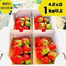 【先行予約】《限定3月発送》  朝採り同日出荷 イチゴ　御前崎産かおり野　1kg(250g×4パック)