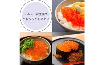 いくら 醤油漬け 200g(100g×2P) 北海道 秋鮭卵 冷凍 尾張まるはち