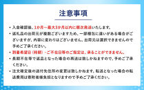 【和歌山工場製造】花王&nbsp;アタック高活性バイオパワー&nbsp;詰め替え用&nbsp;750g×8袋【ご家庭用】【KAO23】【&nbsp;和歌山工場製造&nbsp;粉末洗剤&nbsp;セット&nbsp;洗濯洗剤&nbsp;衣料&nbsp;粉洗剤&nbsp;衣類&nbsp;雑貨&nbsp;日用品&nbsp;消耗品&nbsp;詰め替え&nbsp;和歌山県&nbsp;和歌山市&nbsp;CA192&nbsp;】