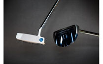 LEGITMAN　352&nbsp;SS_R&nbsp;&nbsp;SUS303×A5052のコンポジットマレットタイプ　34インチ　ショートスラントネック仕様&nbsp;&nbsp;【&nbsp;ゴルフ&nbsp;パター&nbsp;LEGITMAN&nbsp;カスタマイズ&nbsp;ゴルフクラブ&nbsp;削り出しパター&nbsp;自クラブ&nbsp;madeinjapan&nbsp;軽量パター&nbsp;父の日&nbsp;ギフト&nbsp;門真市】