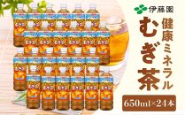 定期便 毎月 全12回 健康ミネラル麦茶 650ml×24本 １ケース 12ヶ月定期便