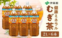 定期便 毎月 全12回 健康ミネラル麦茶 2L×6本 １ケース 12ヶ月定期便