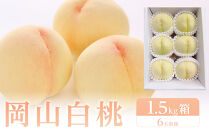 岡山白桃　約1.5kg（6玉前後）