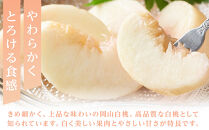 岡山白桃　約1.5kg（6玉前後）