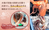 浜ゆで真タコ足&nbsp;1kg（水タコ)