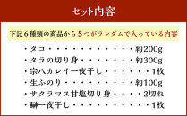 カネオ成栄丸のおまかせお魚BOX 美海(5種）