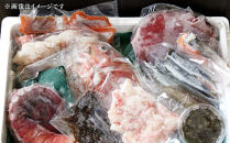 カネオ成栄丸のおまかせお魚BOX&nbsp;海月(6種）