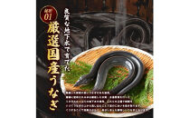 うなぎ蒲焼（国産鰻&nbsp;200g×2尾）
