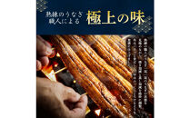 うなぎ蒲焼（中国産鰻&nbsp;222g×3尾）